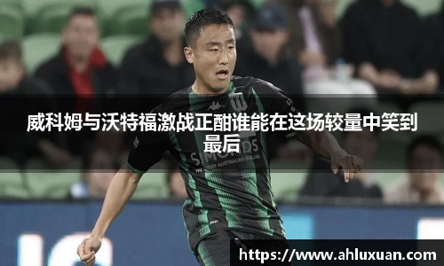 bb贝博官网